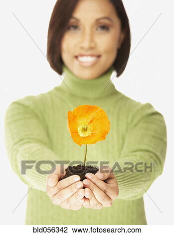 Finding a Legit Mail Buy Bride